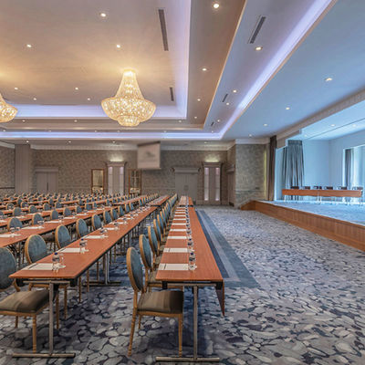 Modernos Silverstone Luxury Hotel Tapete Tapete De Saloon Cinema Teatro Axminster Tapete para Casino