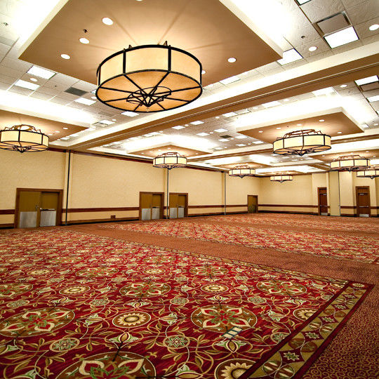 Tapete de hotel 80% lã 20% Nylon Banquete Hall piso Axminster personalizável OEM ODM